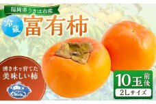 【先行予約】やまんどん 冷蔵富有柿 2Lサイズ 10玉前後 2025年12月中旬から12月下旬 出荷予定