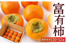 【先行予約】江藤農園 富有柿 10玉から12玉(約3kg) 2025年11月中旬から11月下旬 出荷予定