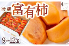 石井農園 冷蔵富有柿 9玉から12玉 2025年12月中旬から2026年3月31日 出荷予定