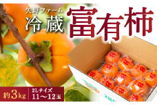 【先行予約】矢野ファーム 冷蔵富有柿 (2Lサイズ) 11玉から12玉 (約3kg) 2025年12月中旬から2026年1月10日 出荷予定
