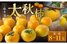 【先行予約】 江藤農園 太秋柿 （2Lから3L） 8玉から11玉 【2025年10月中旬から11月上旬 出荷予定】 柿 かき カキ 太秋 たいしゅう 完全甘柿 果物 くだもの フルーツ 果実 ジューシー お取り寄せ 福岡県 うきは市