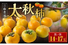 【先行予約】 江藤農園 太秋柿 14玉から17玉 （約5kg） 【2025年10月中旬から11月上旬 出荷予定】 柿 かき カキ 太秋 たいしゅう 完全甘柿 果物 くだもの フルーツ 果実 ジューシー お取り寄せ 福岡県 うきは市