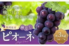 【先行予約】 宝玉農園 ピオーネ 5房から7房 （約3kg） 【2025年8月下旬から9月上旬 出荷予定】 葡萄 ぶどう ブドウ 大粒 種無し 種なし 果物 くだもの フルーツ 果実 お取り寄せ 福岡県 うきは市