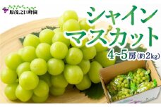 【先行予約】 原茂之巨峰園 シャインマスカット 4房から5房 （約2kg） 【2025年8月中旬から9月中旬 出荷予定】 葡萄 ぶどう ブドウ 種無し 種なし 大粒 果物 くだもの フルーツ 果実 ミネラル ジューシー 朝採り発送 流川ブランド お取り寄せ 福岡県 うきは市