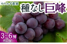 【先行予約】 やりみず農園 種なし 巨峰 3房から6房 （約2kg） 【2025年8月中旬から8月下旬 出荷予定】 葡萄 ぶどう ブドウ 種無し 果物 くだもの フルーツ 果実 新鮮 フレッシュ お取り寄せ 福岡県 うきは市