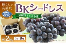 【先行予約】 やまんどん BKシードレス 3房から5房 （約2kg） 【2025年8月下旬から9月上旬 出荷予定】 葡萄 ぶどう ブドウ 種無し 種なし 果物 くだもの フルーツ 果実 新品種 お取り寄せ 福岡県 うきは市