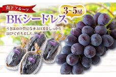 【先行予約】 山下フルーツ BKシードレス 3房から5房 【2025年8月中旬から9月中旬 出荷予定】 葡萄 ぶどう ブドウ 種無し 種なし 大粒 果物 くだもの フルーツ 果実 新品種 ミネラル農産物 お取り寄せ 福岡県 うきは市