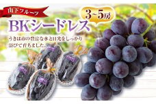 【先行予約】 山下フルーツ BKシードレス 3房から5房 【2025年8月中旬から9月中旬 出荷予定】 葡萄 ぶどう ブドウ 種無し 種なし 大粒 果物 くだもの フルーツ 果実 新品種 ミネラル農産物 お取り寄せ 福岡県 うきは市