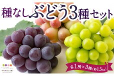 【先行予約】中村柿ぶどう園 種なしぶどう3種セット 各1房×3種 (約1.5kg) 2025年7月下旬から9月上旬 出荷予定