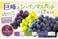 【先行予約】龍頭農園 巨峰とシャインマスカット＋αの4房セット