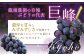 【先行予約】龍頭農園 巨峰とシャインマスカット＋αの4房セット
