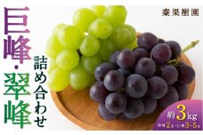 【先行予約】 秦果樹園 巨峰 ・ 翠峰 詰め合わせ 約3kg （巨峰 3から5房・翠峰 2房） 【2025年8月下旬から9月上旬 出荷予定】 葡萄 ぶどう ブドウ 種無し 種なし 果物 くだもの フルーツ 果実 新鮮 フレッシュ 朝採り発送 つめ合わせ 詰合せ セット お取り寄せ 福岡県 うきは市