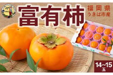 【先行予約】道の駅うきは 富有柿 14玉から15玉 2025年11月中旬から11月下旬 出荷予定