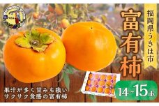 【先行予約】道の駅うきは 富有柿 14玉から15玉 2025年11月中旬から11月下旬 出荷予定