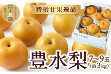 【先行予約】 鈴木農園 特撰甘果逸品 豊水梨 7玉から9玉 （約3kg） 【2025年8月下旬から9月中旬 出荷予定】 完熟梨 梨 なし ナシ 豊水 ほうすい 果物 くだもの フルーツ 果実 新鮮 フレッシュ ジューシー お取り寄せ 福岡県 うきは市