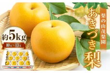 【先行予約】 梨の山茂梨園 あきづき梨 10玉から13玉 （約5kg） 【2025年9月上旬から9月中旬 出荷予定】 梨 なし ナシ 秋月 あきづき 果物 くだもの フルーツ 果実 新鮮 フレッシュ ジューシー お取り寄せ 福岡県 うきは市