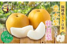 【先行予約】 道の駅うきは 豊水梨 または 秋月梨 6玉から9玉 （約3kg） 【2025年8月下旬から9月上旬 出荷予定】 梨 なし ナシ 豊水 ほうすい 秋月 あきづき 果物 くだもの フルーツ 果実 新鮮 フレッシュ ジューシー お取り寄せ 福岡県 うきは市