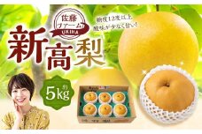 【先行予約】 佐藤ファーム 新高梨 5玉から8玉 （約5kg） 【2025年9月下旬から10月上旬 出荷予定】 梨 なし ナシ 新高 にいたか 大玉 果物 くだもの フルーツ 果実 ジューシー お取り寄せ 福岡県 うきは市