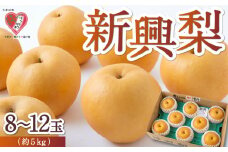 【先行予約】 佐藤ファーム 新興梨 8玉から12玉 （約5kg） 【2025年10月中旬から10月下旬 出荷予定】 梨 なし ナシ 新興 しんこう 果物 くだもの フルーツ 果実 ジューシー お取り寄せ 福岡県 うきは市