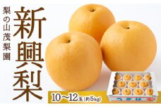 【先行予約】 梨の山茂梨園 新興梨 10玉から12玉 （約5kg） 【2025年10月中旬から10月下旬 出荷予定】 梨 なし ナシ 新興 しんこう 果物 くだもの フルーツ 果実 ジューシー お取り寄せ 福岡県 うきは市