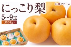 【先行予約】 佐藤ファーム にっこり梨 5玉から9玉 （約5kg） 【2025年10月中旬から10月下旬 出荷予定】 梨 なし ナシ にっこりなし 大玉 果物 くだもの フルーツ 果実 ジューシー お取り寄せ 福岡県 うきは市
