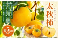 【先行予約】伊藤園 太秋柿 12玉から15玉 約5kg 【2025年10月中旬から10月下旬出荷予定】 ／ 富有柿 柿 果物 フルーツ くだもの うきは市