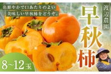 【先行予約】 渡辺農園 早秋柿 9玉前後 【2025年9月下旬から10月上旬 出荷予定】 柿 かき カキ 早秋 そうしゅう 果物 くだもの フルーツ 果実 ジューシー お取り寄せ 福岡県 うきは市