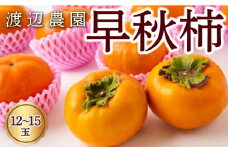 【先行予約】 渡辺農園 早秋柿 12玉から15玉 【2025年9月下旬から10月上旬 出荷予定】 柿 かき カキ 早秋 そうしゅう 果物 くだもの フルーツ 果実 ジューシー お取り寄せ 福岡県 うきは市