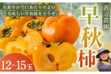 【先行予約】 渡辺農園 早秋柿 12玉から15玉 【2025年9月下旬から10月上旬 出荷予定】 柿 かき カキ 早秋 そうしゅう 果物 くだもの フルーツ 果実 ジューシー お取り寄せ 福岡県 うきは市