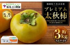 【先行予約】 原茂之巨峰園 プレミアム 太秋柿 大玉 8玉から9玉 （約3kg） 【2025年10月中旬から11月上旬 出荷予定】 柿 かき カキ 太秋 たいしゅう 完全甘柿 果物 くだもの フルーツ 果実 ジューシー 流川ブランド お取り寄せ 福岡県 うきは市