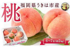 【先行予約】 道の駅うきは 桃 6玉から7玉 （約2kg） 【2025年7月中旬から8月上旬 出荷予定】 もも モモ 果物 くだもの フルーツ 果実 お取り寄せ 福岡県 うきは市