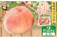 【先行予約】 道の駅うきは 桃 6玉から7玉 （約2kg） 【2026年7月下旬から2026年8月上旬 出荷予定】 もも モモ 果物 くだもの フルーツ 果実 お取り寄せ 福岡県 うきは市