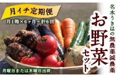 【月イチ定期便】UIC 名水うきはの無農薬減農薬お野菜セット (ひと月1箱×半年間=計6回)
