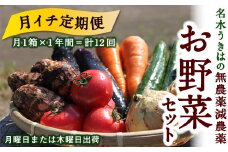【月イチ定期便】UIC 名水うきはの無農薬減農薬お野菜セット (ひと月1箱×1年間=計12回)