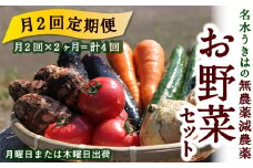 【月2回定期便】UIC 名水うきはの無農薬減農薬お野菜セット (ひと月2回×2か月=計4回)