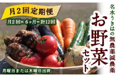 【月2回定期便】UIC 名水うきはの無農薬減農薬お野菜セット (ひと月2回×半年間=計12回)