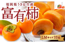 【先行予約】竹の葉月柿農園 富有柿 LMサイズ 33玉 2025年11月上旬から11月下旬 出荷予定