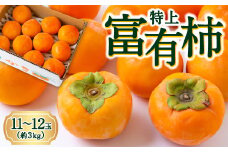 逸品富有柿 11玉から12玉 (約3kg) 【2025年11月下旬-2025年12月上旬発送予定】 柿 果物 フルーツ うきは市