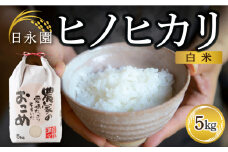 日永園 ヒノヒカリ 白米5kg 【2025年11月下旬より発送予定】 米 お米 ご飯  うきは市