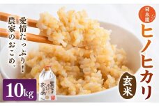 日永園 ヒノヒカリ 玄米10kg 【2025年11月下旬より発送予定】 米 お米 ご飯  うきは市