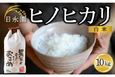 日永園 ヒノヒカリ 白米10kg 【2025年11月下旬より発送予定】 米 お米 ご飯  うきは市