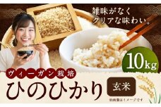 自然栽培 ひのひかり 玄米 10kg 【2025年10月下旬より発送予定】 米 お米 ご飯  うきは市