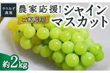 【先行予約】 やりみず農園 農家応援！ ご家庭用 シャインマスカット （約2kg） 【2025年8月中旬から9月中旬 出荷予定】 葡萄 ぶどう ブドウ 種無し 種なし 果物 くだもの フルーツ 果実 新鮮 フレッシュ お取り寄せ 福岡県 うきは市