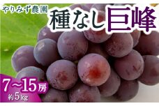 【先行予約】 やりみず農園 種なし 巨峰 7房から15房 （約5kg） 【2025年8月中旬から8月下旬 出荷予定】 葡萄 ぶどう ブドウ 種無し 果物 くだもの フルーツ 果実 新鮮 フレッシュ 朝採り直送 お取り寄せ 福岡県 うきは市