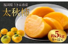 【先行予約】 西見柿農園 太秋柿 9玉から12玉 （約5kg） 【2025年10月中旬から11月上旬 出荷予定】 完熟柿 柿 かき カキ 太秋 たいしゅう 大玉 完全甘柿 果物 くだもの フルーツ 果実 ジューシー 樹上完熟 お取り寄せ 福岡県 うきは市