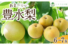【先行予約】 しゅうたの畑 あまーい♪ 豊水梨 6玉から7玉 【2025年8月中旬から8月下旬 出荷予定】 梨 なし ナシ 豊水 ほうすい 果物 くだもの フルーツ 果実 ジューシー 産直農園 お取り寄せ 福岡県 うきは市