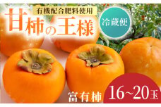 【先行予約】有機配合肥料使用 冷蔵富有柿 16玉から20玉 2025年12月中旬から2026年1月下旬 出荷予定【春光園】 柿 かき 甘柿 甘い 果物 フルーツ