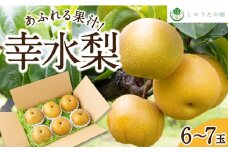【先行予約】 しゅうたの畑 あふれる果汁 幸水梨 6玉から7玉 【2025年7月下旬から8月上旬 出荷予定】 梨 なし ナシ 幸水 こうすい 果物 くだもの フルーツ 果実 ジューシー 産直農園 お取り寄せ 福岡県 うきは市