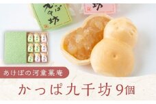 あけぼの河童菓庵 最中かっぱ九千坊 9個 (白つぶ餡) 和菓子 お菓子 モナカ 最中 つぶ餡 常温 福岡県 うきは市