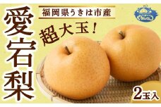 やまんどん 愛宕梨 超大玉 2玉入 【2025年11月上旬発送予定】 ／ ナシ 梨 果物 フルーツ くだもの うきは市